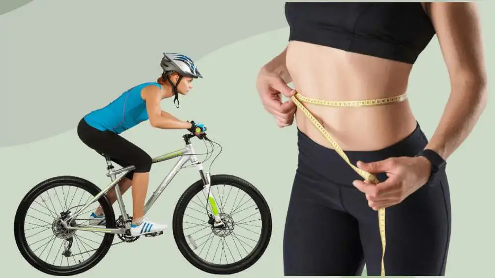 Đạp Xe Có Giảm Mỡ Bụng Không? Đạp Xe Có Giảm Mỡ Bụng Không?